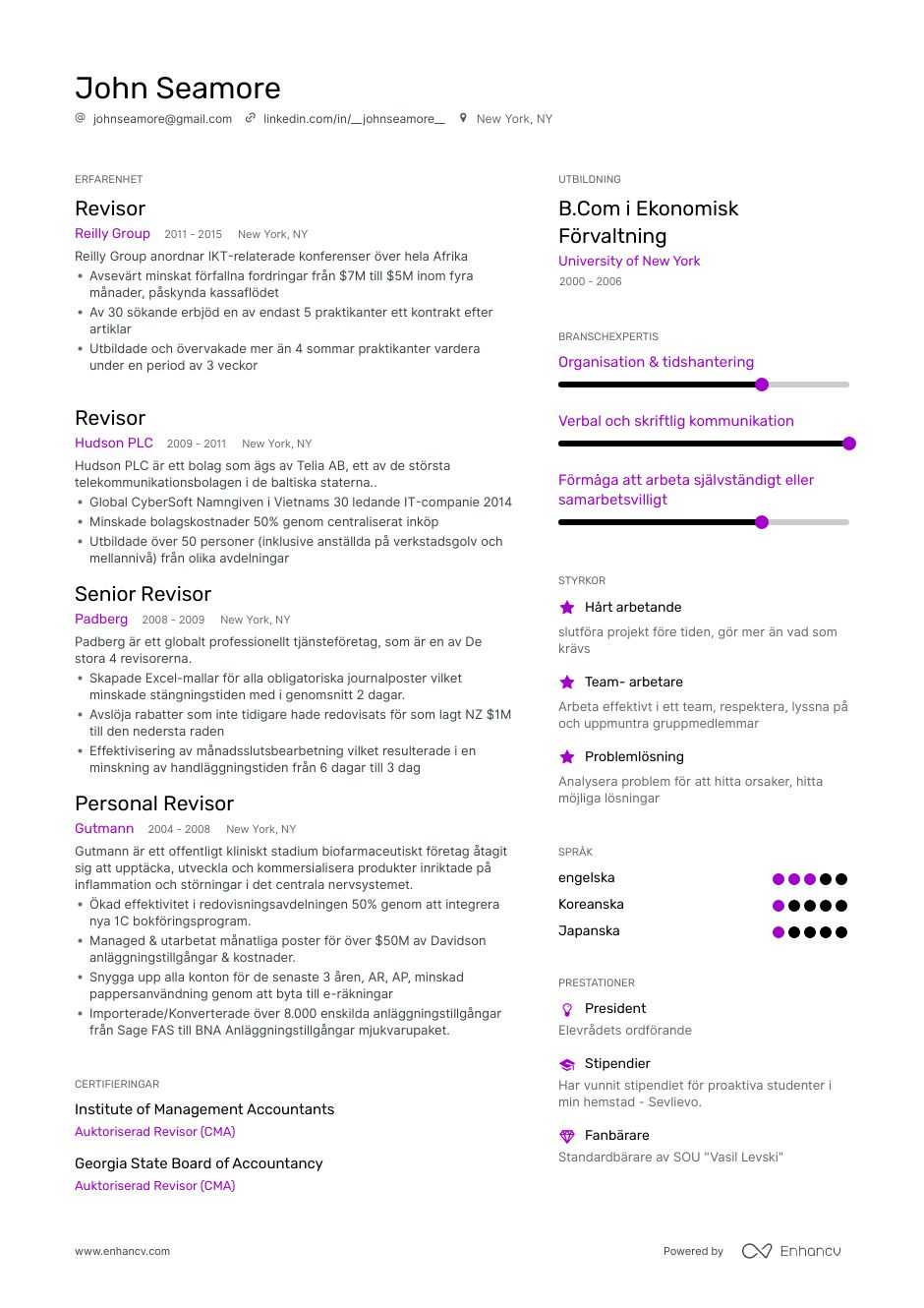 Redovisnings-CV