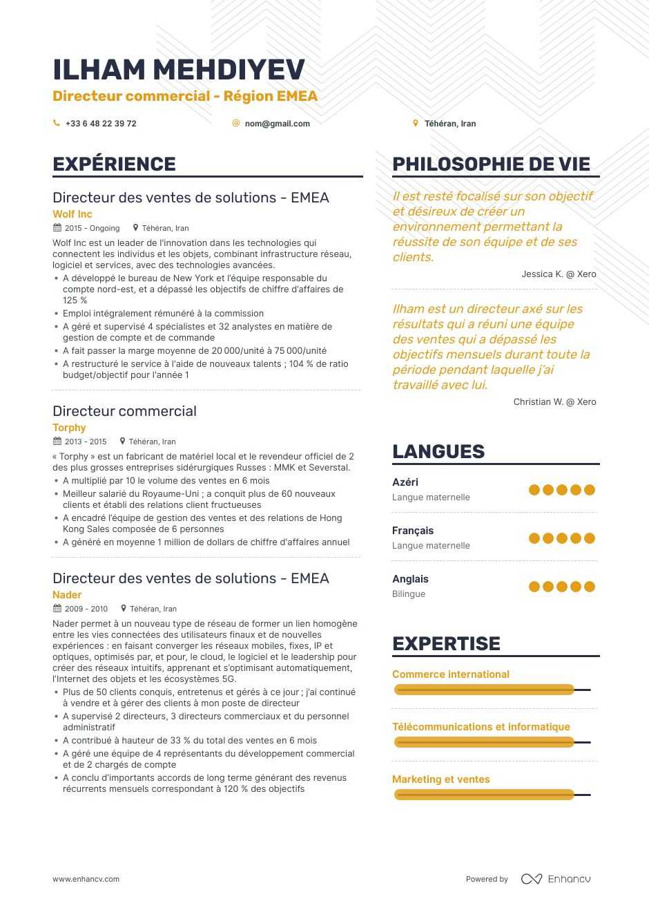 De nombreux exemples de CV directeur commercial, par Enhancv